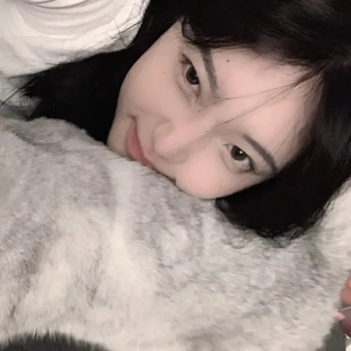 猛龙征东